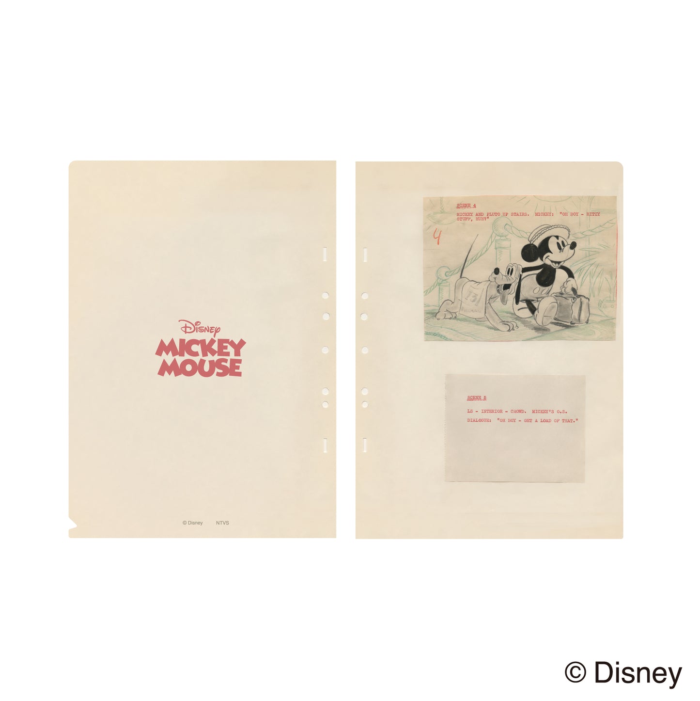 Japan Disney THE MARKET 2026 - A4 file