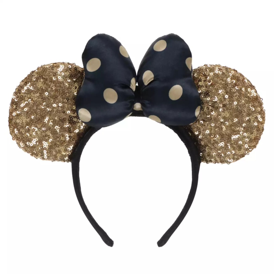 TDR - 2025 - Headband