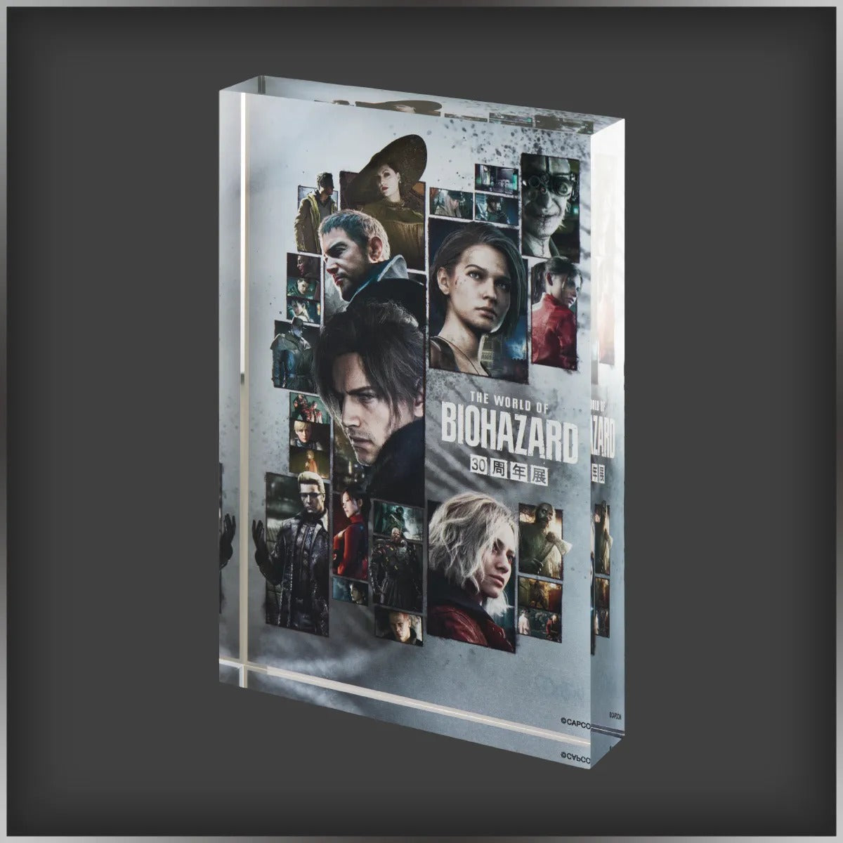 Exhibition Key Visual Acrylic Block | The World of Resident Evil 30th Anniversary Exhibition