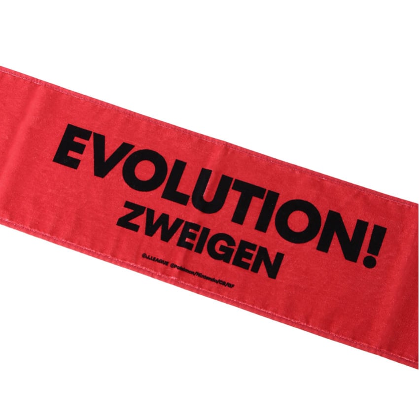 Pikachu Towel Scarf Zweigen Kanazawa x Pokemon J.League | J.League Online Store