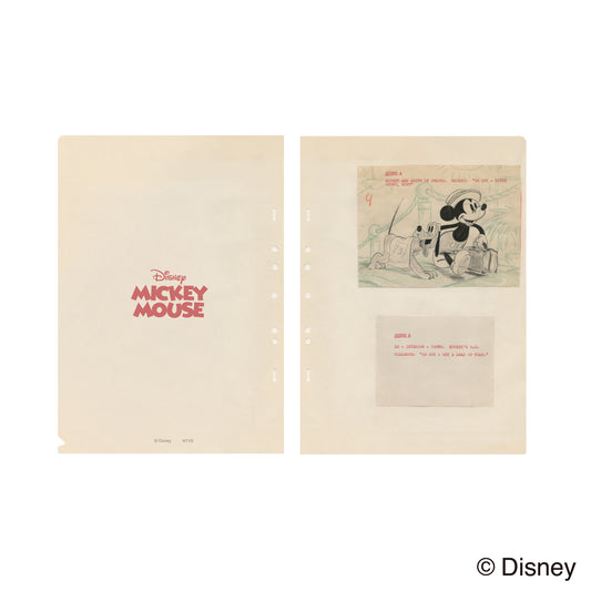 Japan Disney THE MARKET 2026 - A4 file