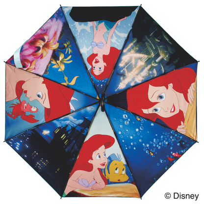 Japan Disney THE MARKET 2026 - Umbrella
