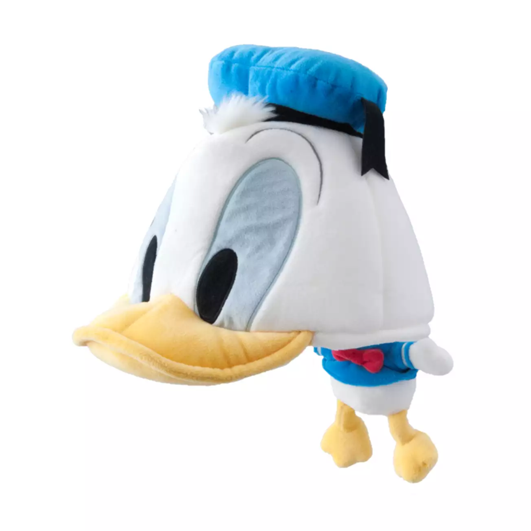TDR - 2025 - Headband
