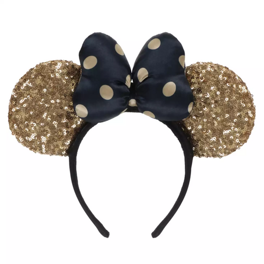TDR - 2025 - Headband