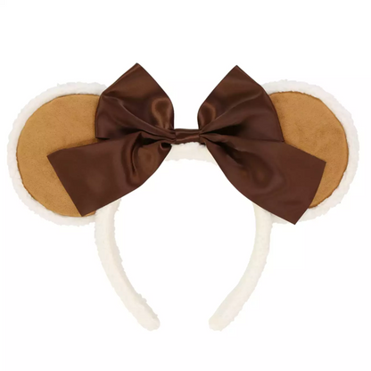 TDR - 2025 - Headband