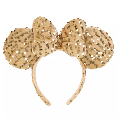TDR - 2025 - Headband