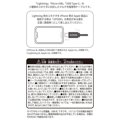 Dedenne Illuminatin Multi-Charging Cable Give Me Electricity! | Pokémon Center Japan