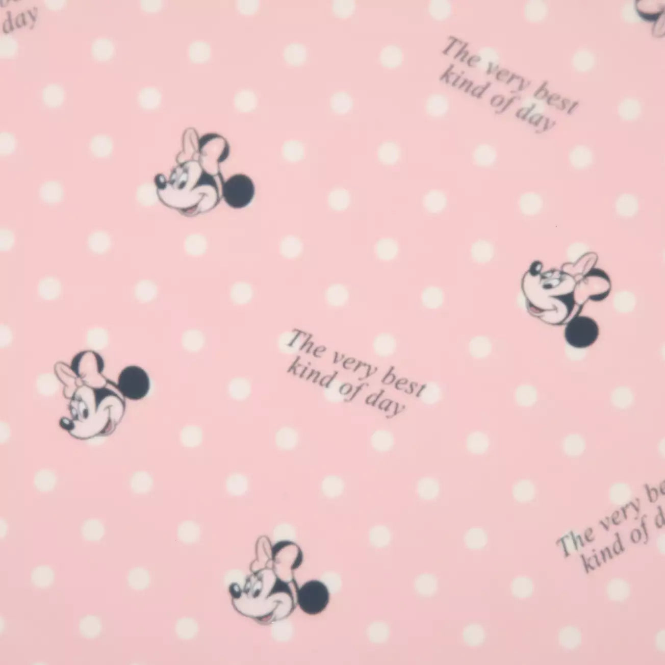 SDJ - Minnie's Kitchen - Cutting Board