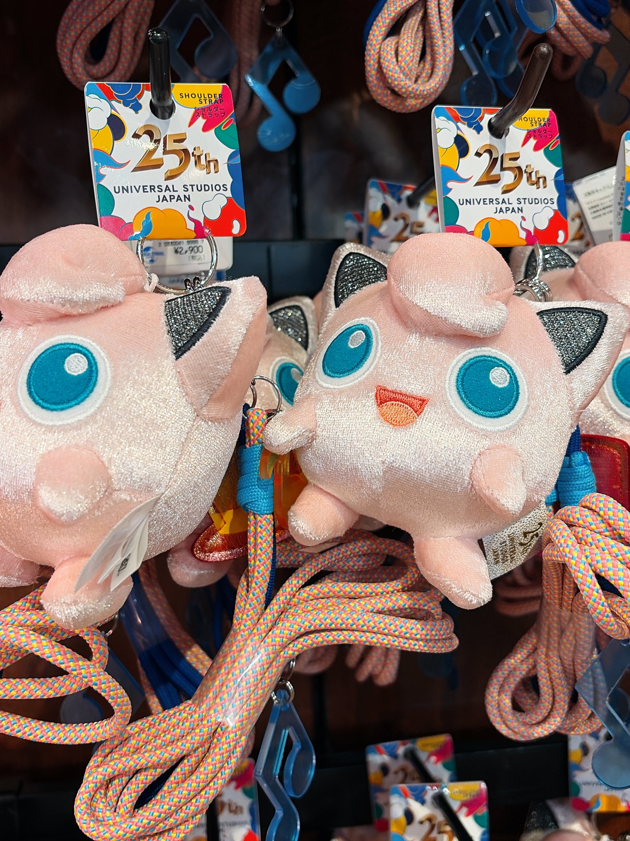 USJ - 25th DiscoverU!!! - Pokemon - Shoulder strap with plush