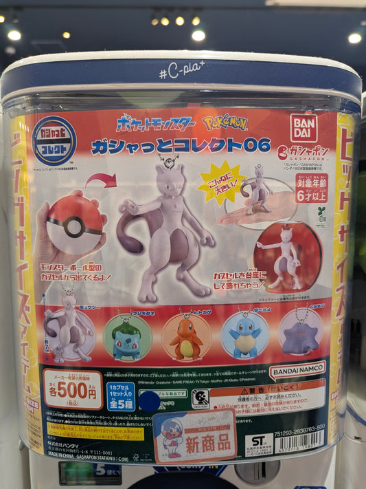 Pokémon Gashapon Mystery Box: A Multi-Series Adventure!