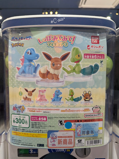 Pokémon Gashapon Mystery Box: A Multi-Series Adventure!