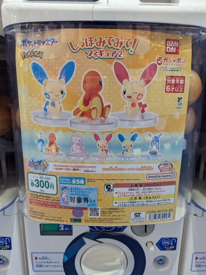 Pokémon Gashapon Mystery Box: A Multi-Series Adventure!