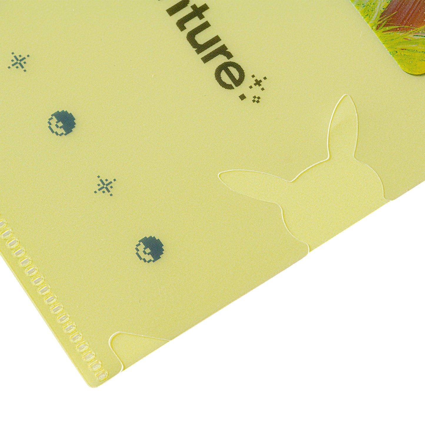 Pokémon  Timeless Adventure Unova - A4 Size Plastic Folder