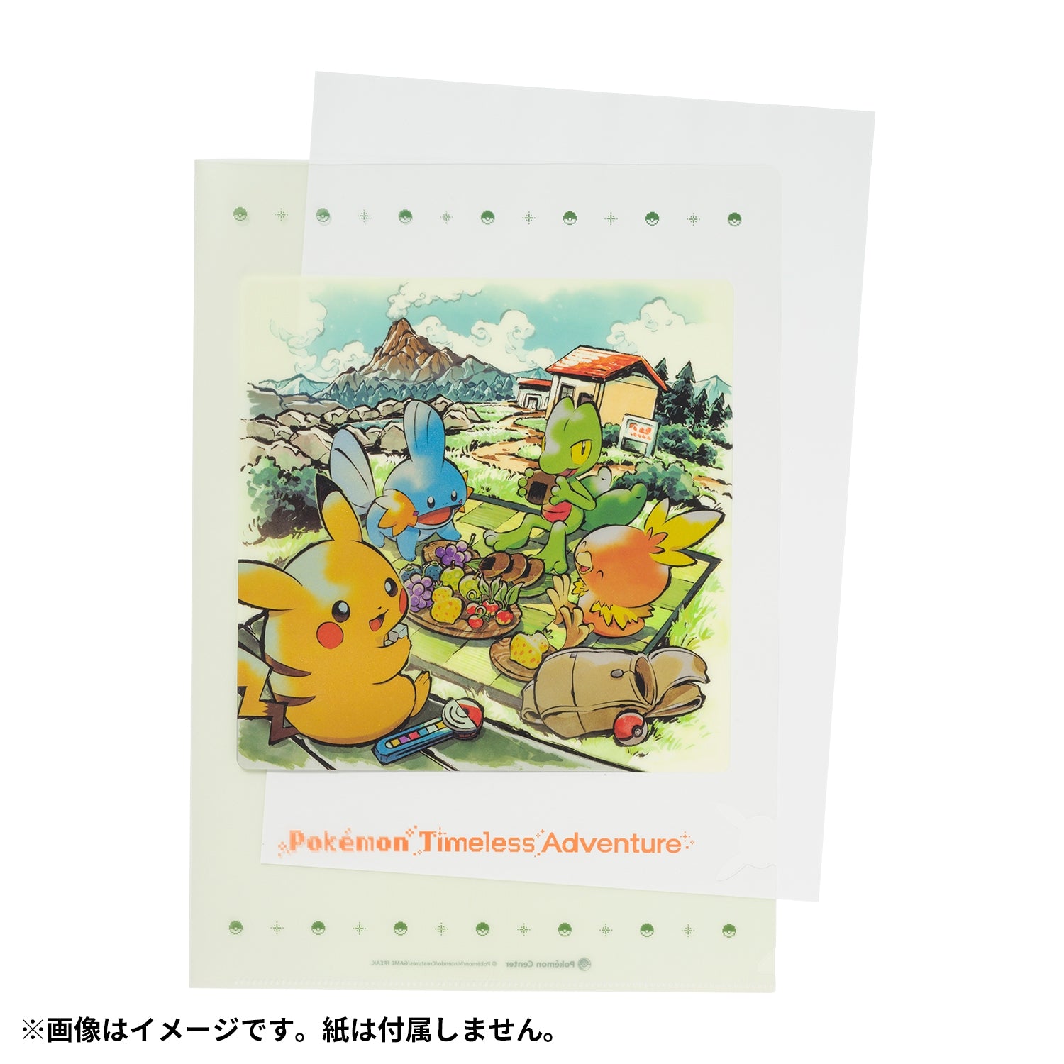 Pokémon Timeless Adventure Hoenn - Plastic Folder – LEALEA MART