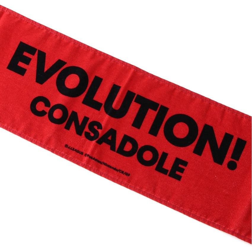 Noctowl Towel Scarf Hokkaido Consadole Sapporo x Pokemon J.League | J.League Online Store