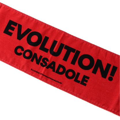 Noctowl Towel Scarf Hokkaido Consadole Sapporo x Pokemon J.League | J.League Online Store