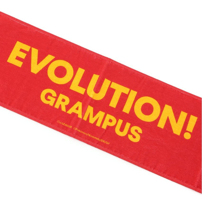 Pikachu Towel Scarf Nagoya Grampus x Pokemon J.League | J.League Online Store