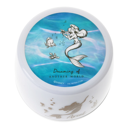 SDJ - The Little Mermaid Room Projection