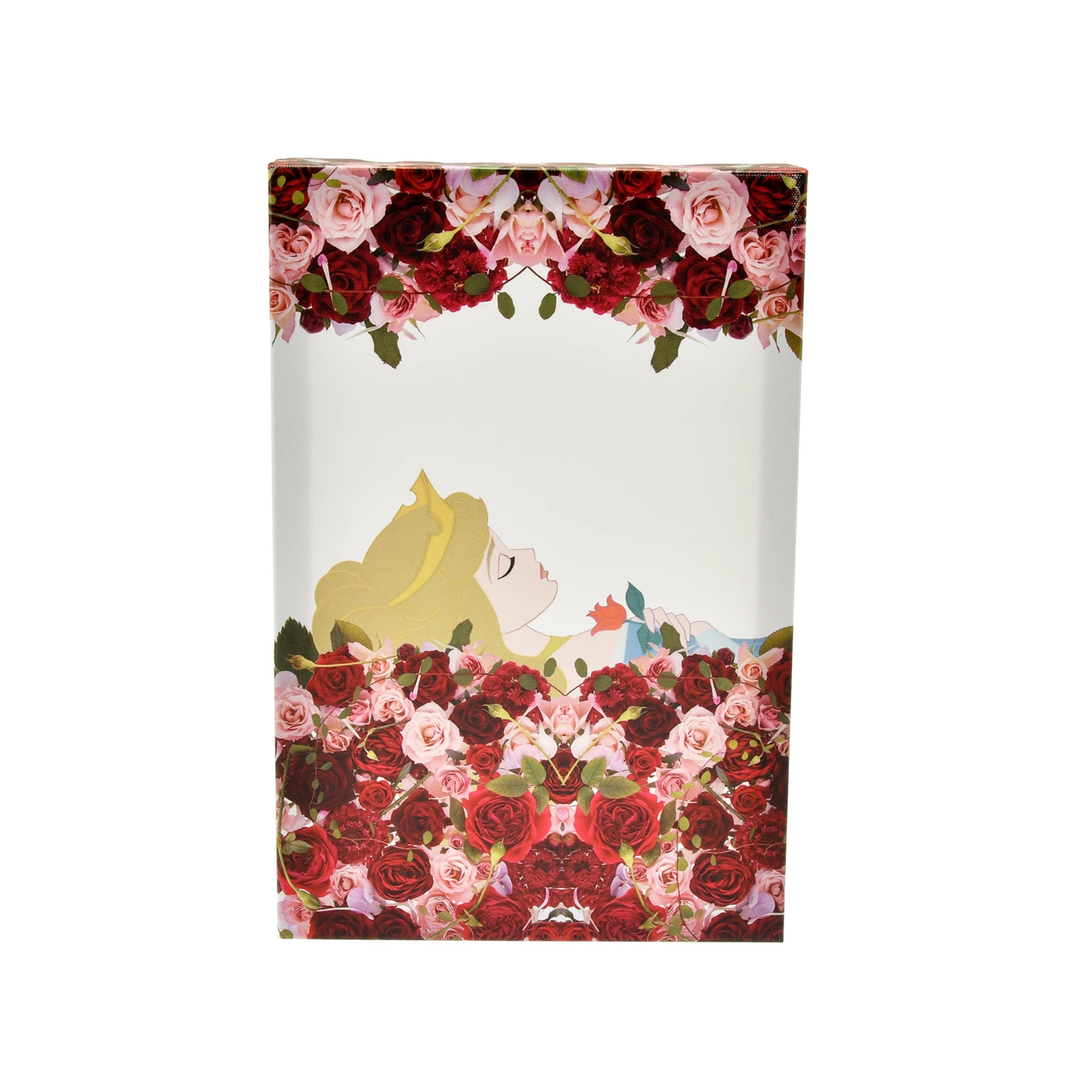 SDJ - Disney ARTIST COLLECTION by nicolai bergmann Collection