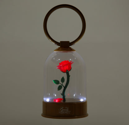 TDR - lantern